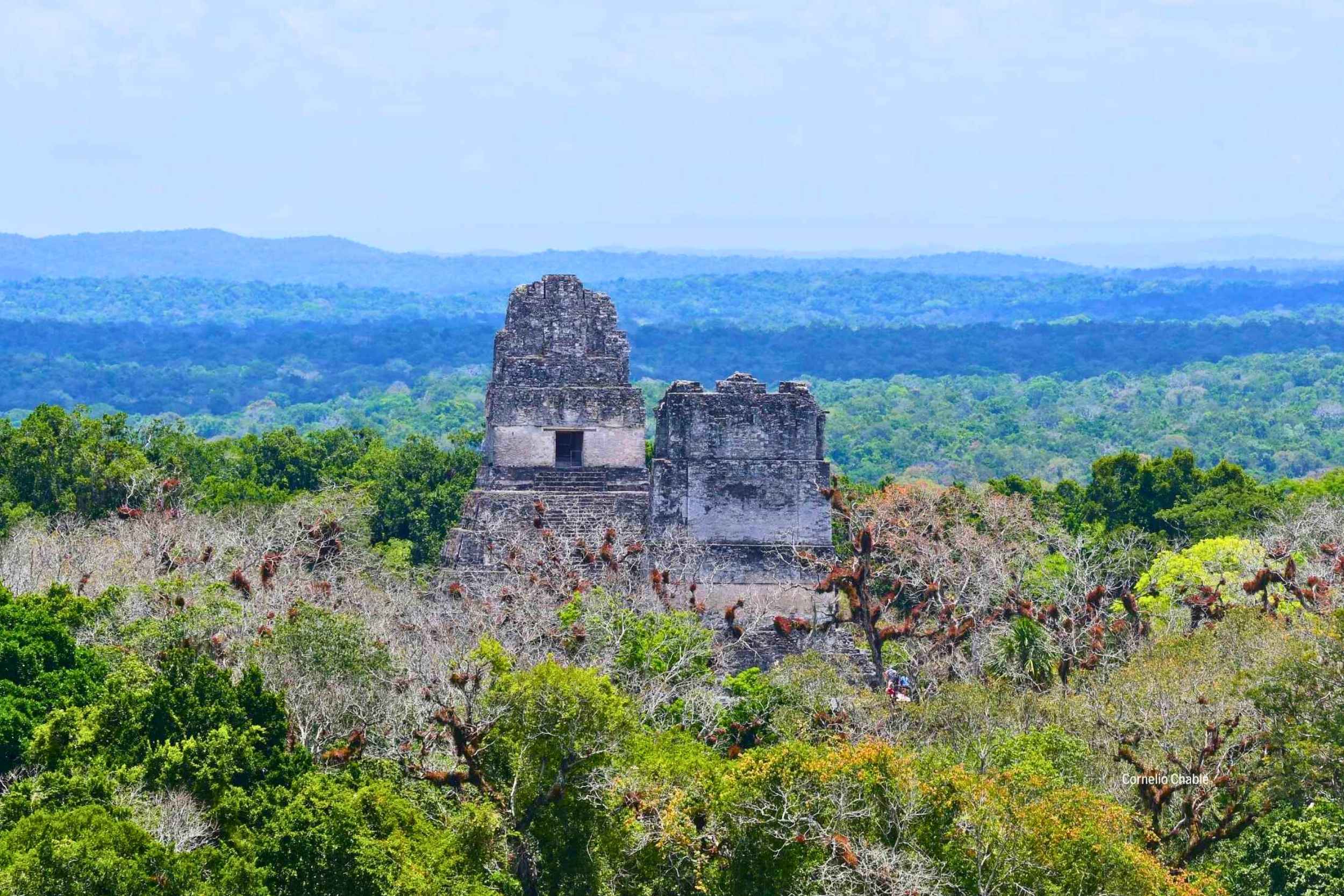 &quot;Maya Trek: La Expedición Definitiva de Aventura y Arqueología en la Selva&quot;